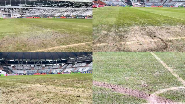 1739413189081068398.jpeg e043d452dfc7c3f957b74e9987a0ec32-1739377767.jpeg